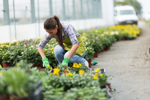 Professional gardening services in Southfields for a neat residential garden