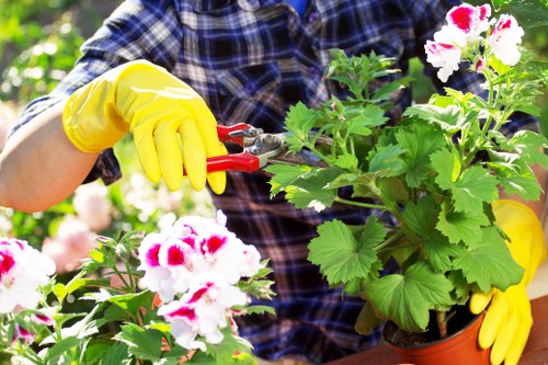 Gardeners Southfields improving a welcoming front garden