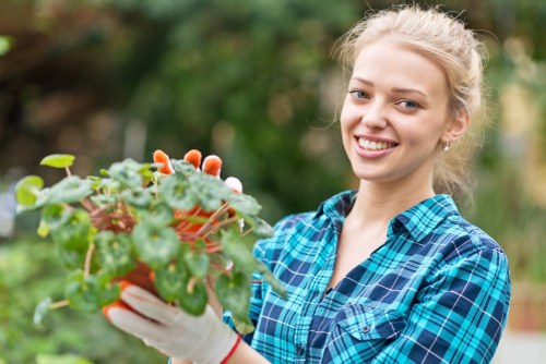 Professional hedge trimming in a Southfields garden