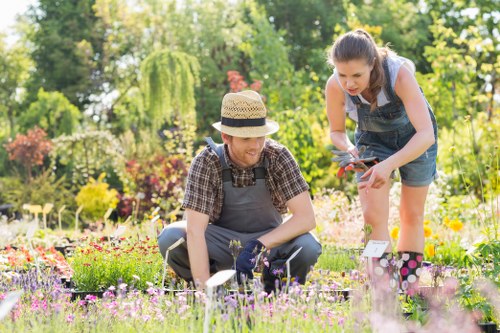 Gardeners Southfields introducing thoughtful outdoor care