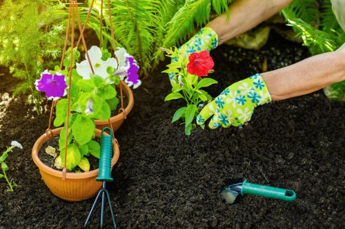 Accessible gardening services in Southfields on a mobile-friendly webpage