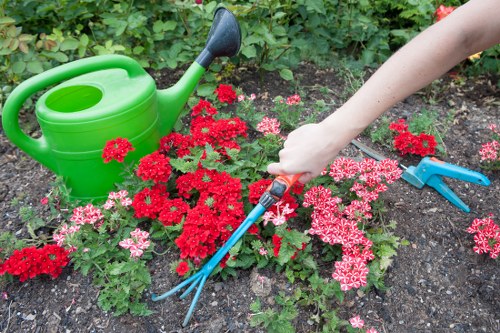 Professional lawn mowing for a neat Southfields property