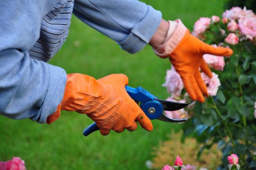 Autumn lawn treatment and grass care in Southfields