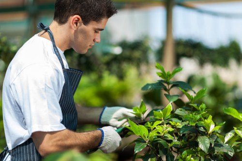 Reusable garden items prepared for charity donation