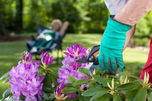 Professional turf care and mowing in Southfields