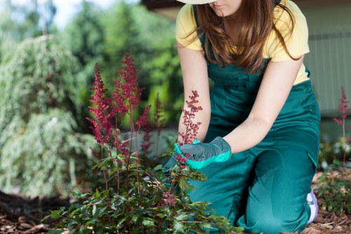 Seasonal lawn maintenance in Southfields property