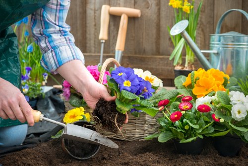 Local tree maintenance and removal service in Southfields