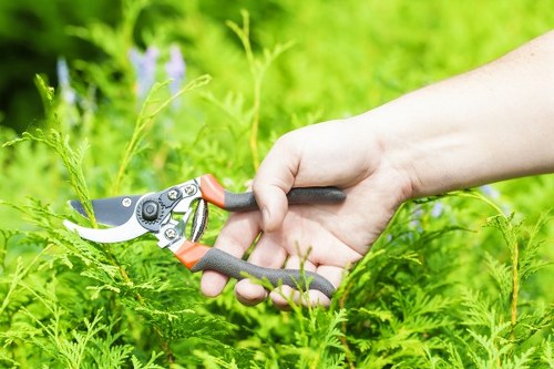 Garden maintenance in Southfields during the busy growing season