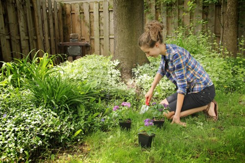Ongoing accessibility improvements for Southfields garden service information