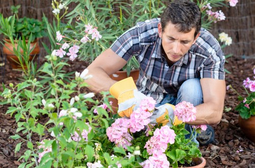 Professional garden waste removal in a Southfields outdoor space