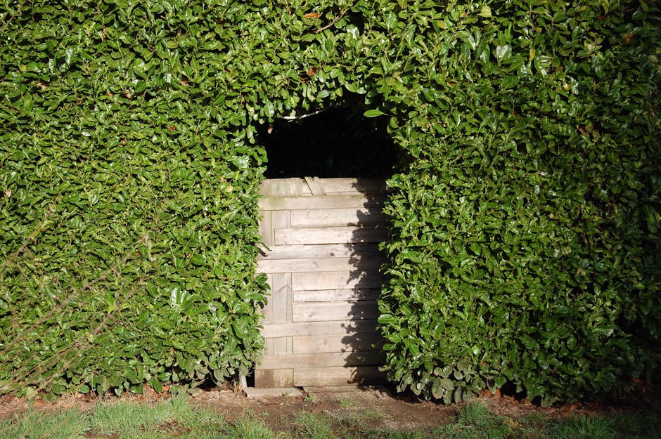 A small wooden door set into a leafy green hedge creates a garden feature emphasizing natural garden maintenance and landscaping work. The door, constructed from weathered wooden planks, is centrally 