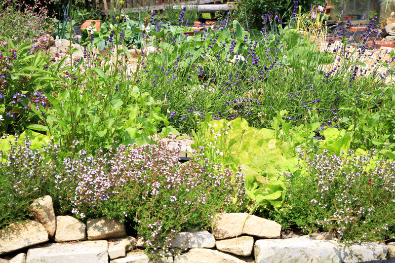 garden design Garden